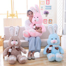 13afea5d41362faedee887291a1d11ec
